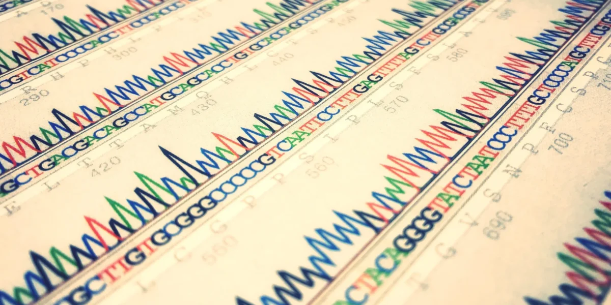 data-sheet-of-dna-sequence-2025-01-08-14-19-19-utc